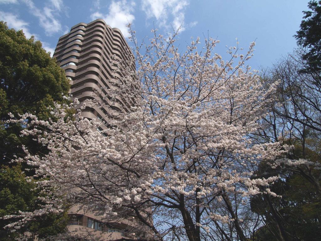 Tokyo Marriott Hotel Exterior foto